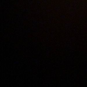 Meet your Posher, Dylan